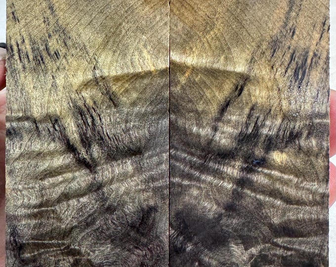 Stabilized Buckeye Burl Knife Scales | SBB 1205