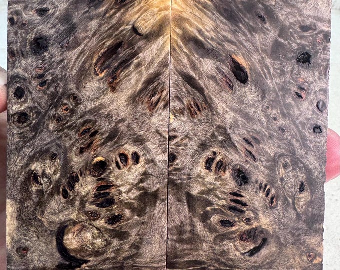 Stabilized Buckeye Burl Knife Scales | SBB 1188