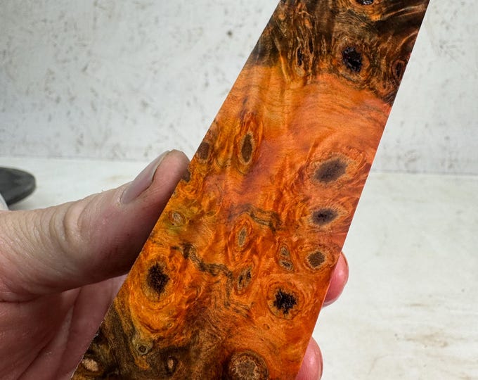 Stabilized Buckeye Burl Turning Blank | Knife Block | SBB 856