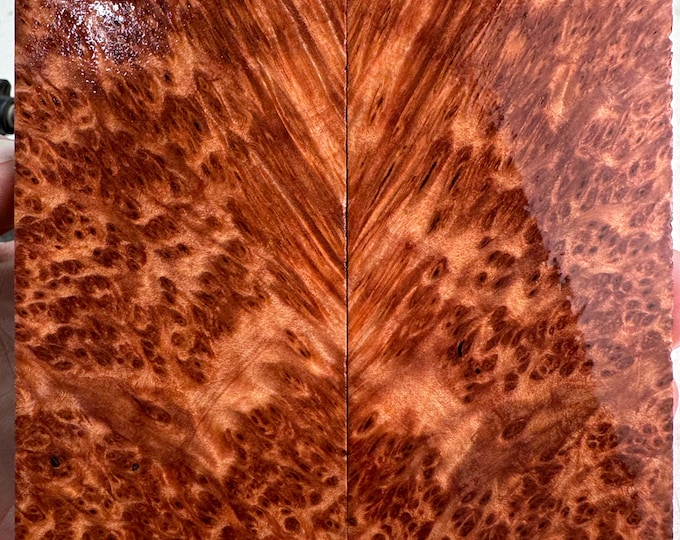 Stabilized Redwood Lace Burl Knife Scales | SRW 813