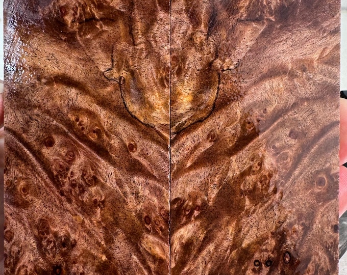Clear Stabilized Maple Burl Knife Scales | SMB 1003
