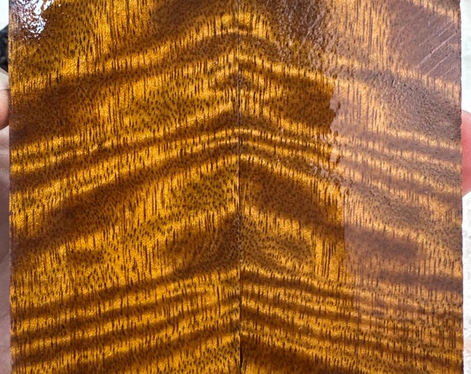 Stabilized Curly Mango Knife Scales | SCM 703