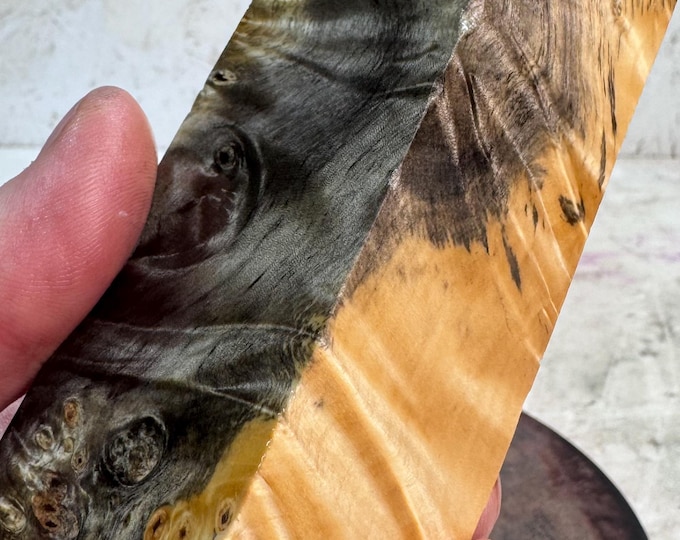 Stabilized Buckeye Burl Turning Blank | Game or Duck Call | SBB 1260