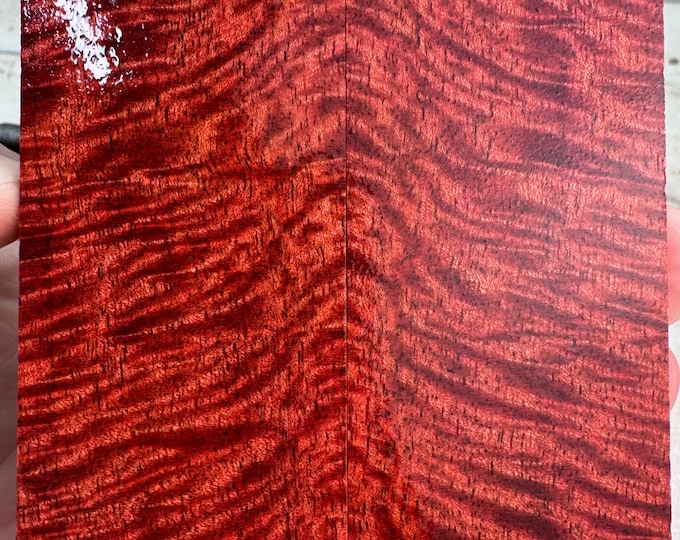 Stabilized Curly Mango Knife Scales | SCM 601