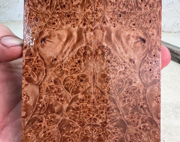 Stabilized Maple Burl Knife Scales | SMB 1101