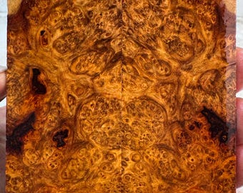 Stabilized Amboyna Burl Knife Scales | SAB 1237