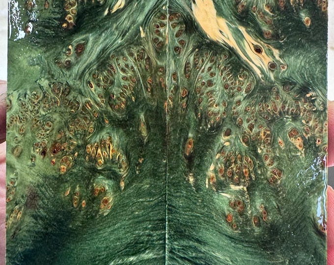 Stabilized (WD) Yellow Cedar Burl Knife Scales | YCB 315