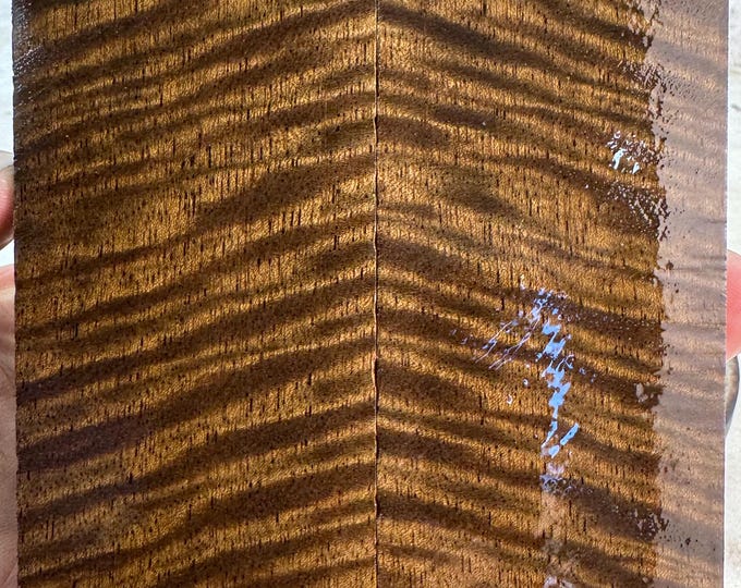 Stabilized Curly Mango Knife Scales | OVERSIZED | SCM 667