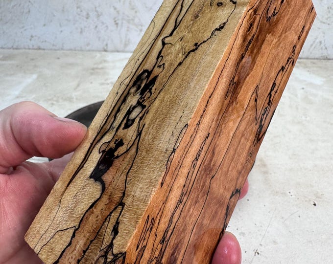 Stabilized Spalted Maple Turning Blank or Knife Blank | Oversized | SSM