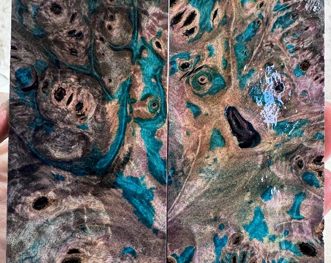 Stabilized Buckeye Burl Knife Scales | SBB 1026