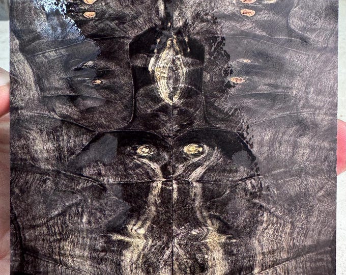 Stabilized Buckeye Burl Knife Scales | Oversized | SBB 1221