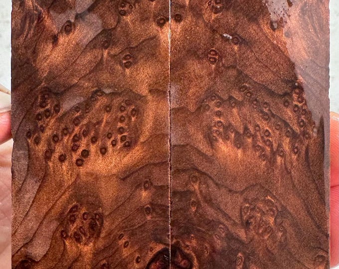 Clear Stabilized (K&G) Redwood Lace Burl Knife Scales | SRW 615