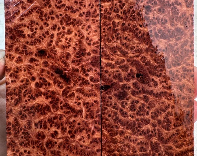Stabilized (K&G) Redwood Lace Burl Knife Scales | SRW