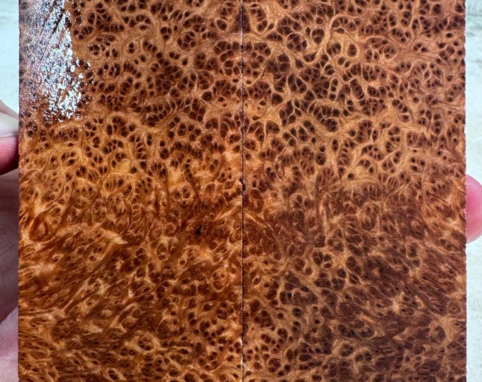 Stabilized (K&G) Redwood Lace Burl Knife Scales | Exhibition Grade | SRW 997