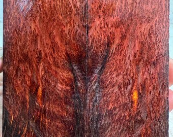 Stabilized (K&G) Yellow Cedar Burl Knife Scales | YCB 302