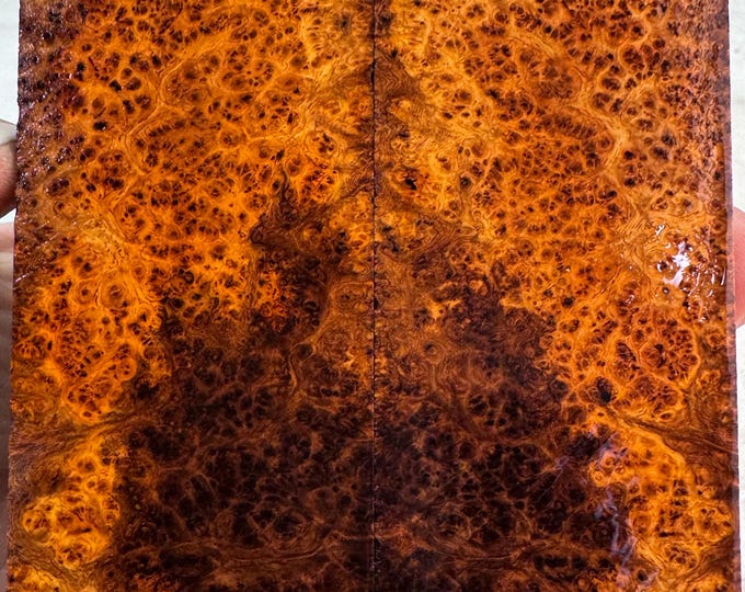 Stabilized Amboyna Burl Knife Scales | SAB 1127