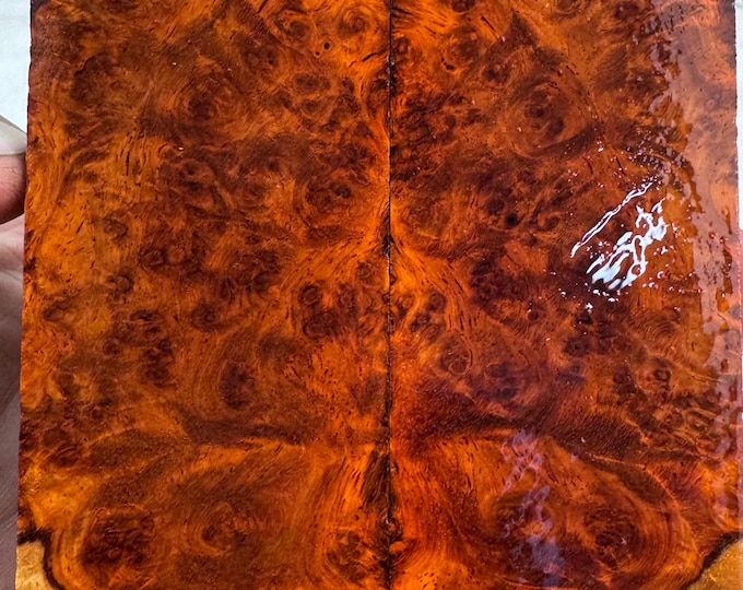 Stabilized Amboyna Burl Knife Scales | SAB 1132