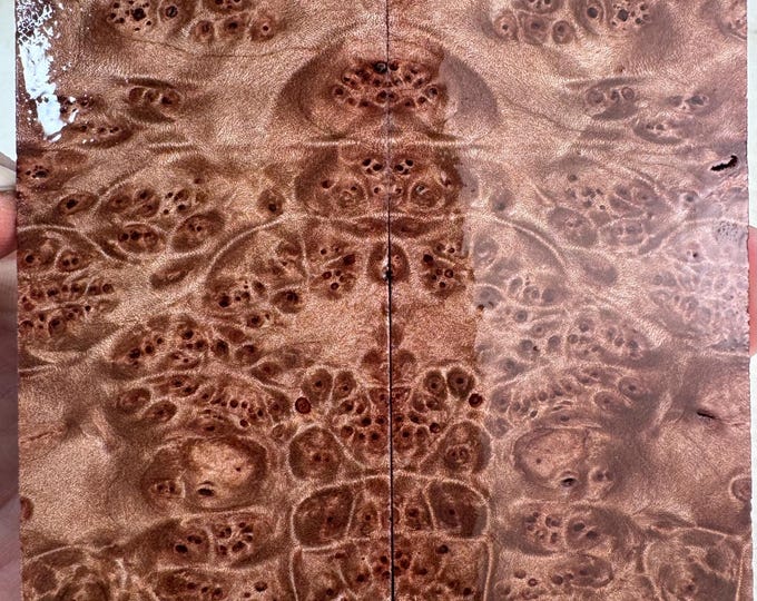 Stabilized Maple Burl Knife Scales | Thins Under 3/8" | SMB 1102