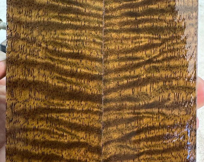 Stabilized Curly Mango Knife Scales | SCM 664