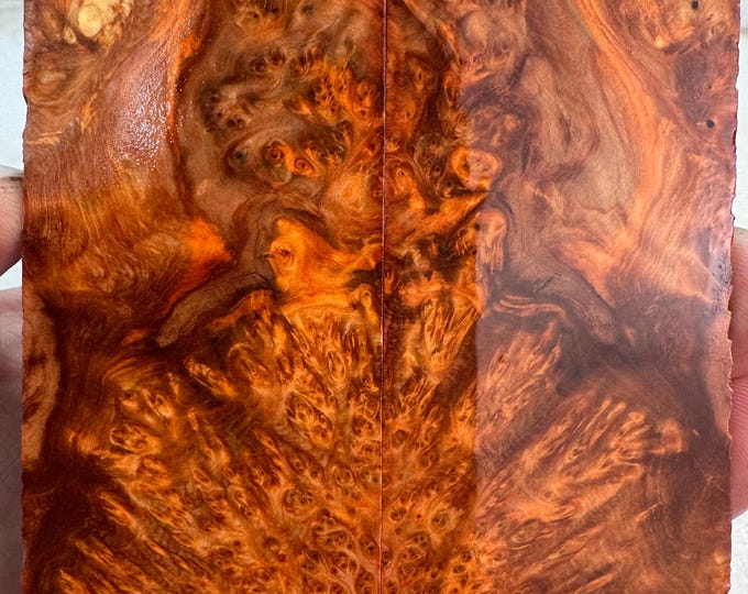 Stabilized (by K&G) Yellow Cedar Burl Knife Scales | Thins | YCB 422