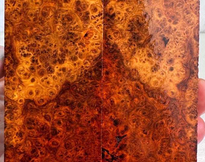 Stabilized Amboyna Burl Knife Scales | FREE SHIPPING | SAB 854