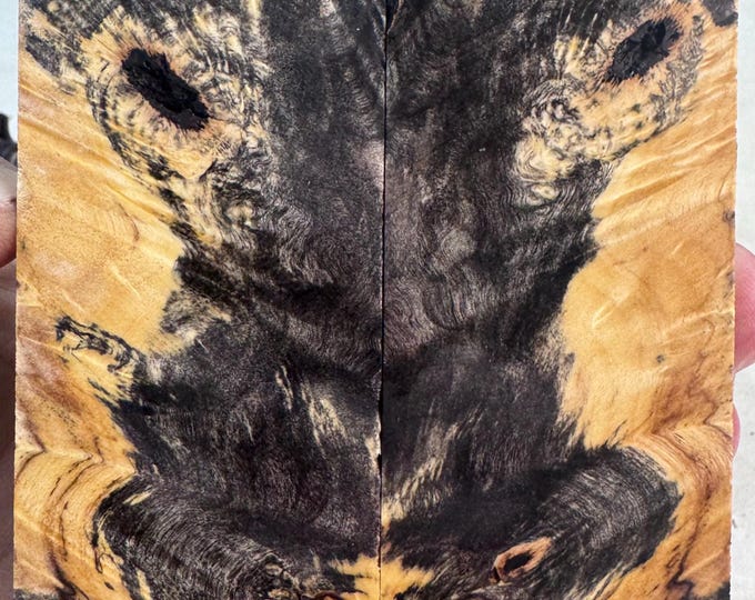 Stabilized Buckeye Burl Knife Scales | SBB 1184