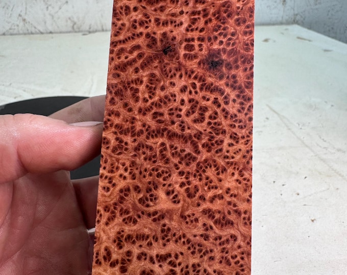Stabilized Redwood Lace Burl Knife Block | Oversized | SRW 767