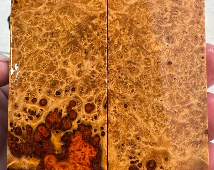 Stabilized Amboyna Burl Knife Scales | SAB 1144