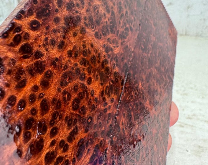 Clear Stabilized Redwood Lace Burl Knife Scales | SRW 741