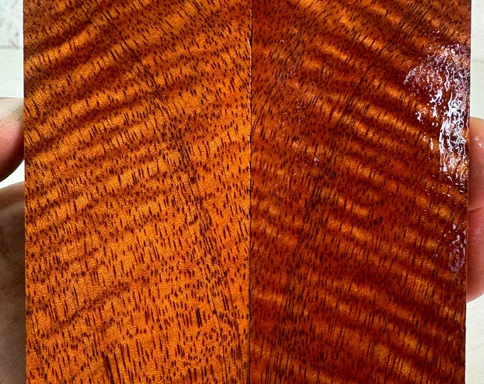 Stabilized Curly Mango Knife Scales | Thick Stock | SCM 331