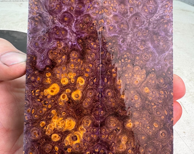 Stabilized Amboyna Burl Knife Scales | SAB 900