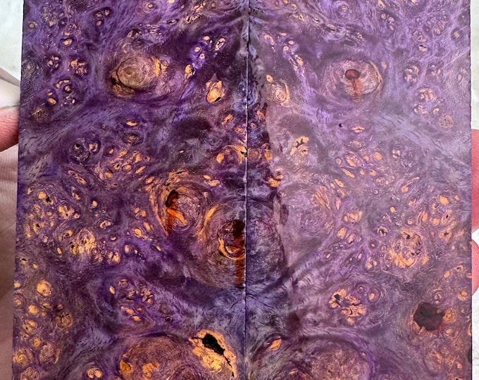 Stabilized Amboyna Burl Knife Scales | SAB 901
