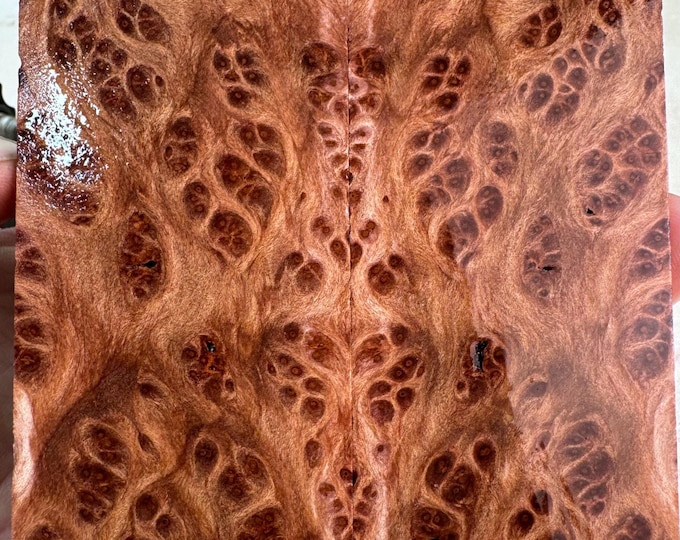 Stabilized Redwood Lace Burl Knife Scales | OVERSIZED | SRW 814