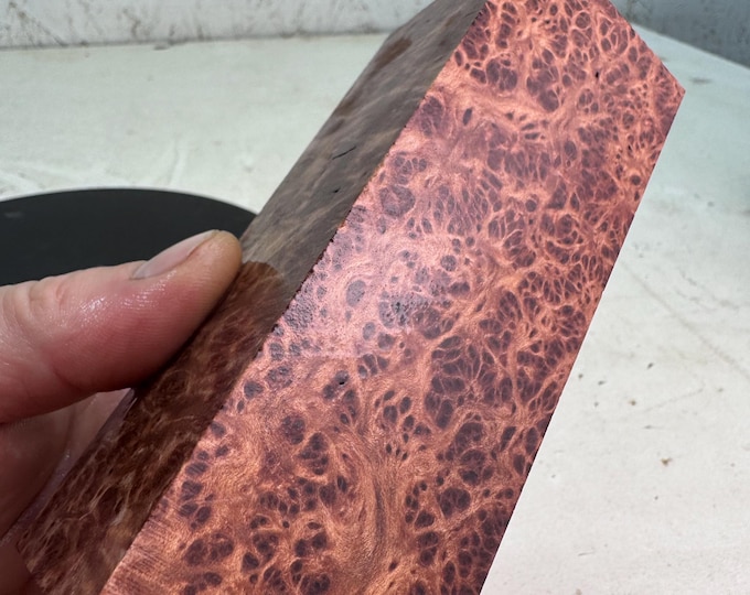 Stabilized Redwood Lace Burl Block | Oversized Blank | SRW 765