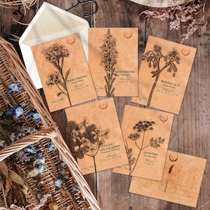 5er Set - Essbare Blüten I.  Vintage Postkarte für Hexen,
