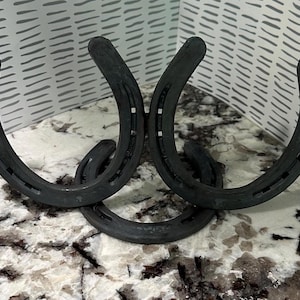 2 Horseshoe Picture Frame