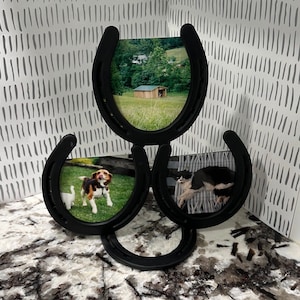 3 Horseshoe Picture Frame