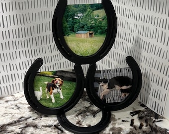 3 Horseshoe Picture Frame
