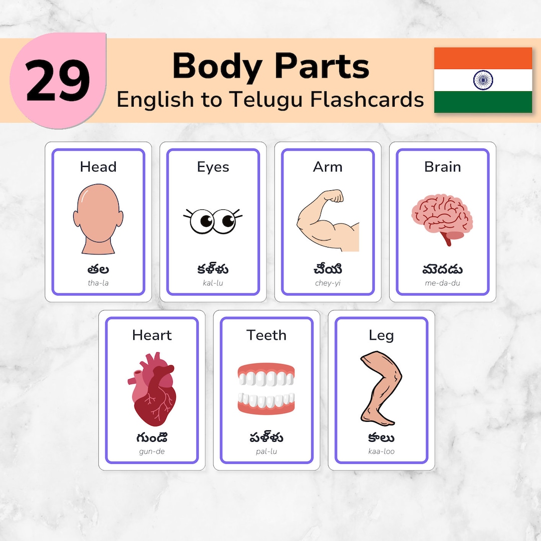Telugu to English 29 Body Parts Themed Flashcards - Etsy