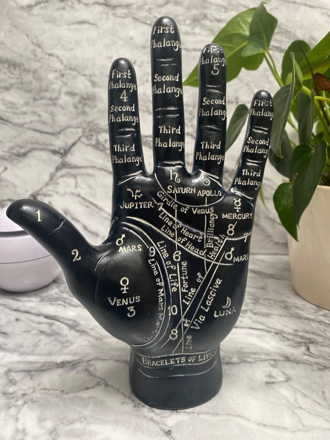 Black Palmistry Palm Reading Hand Mind Antique Style Chiromancy New