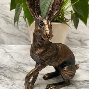 Buttercup Hare Cold Cast Bronze Sculpture Figurine Ornament New & Boxed 19cm