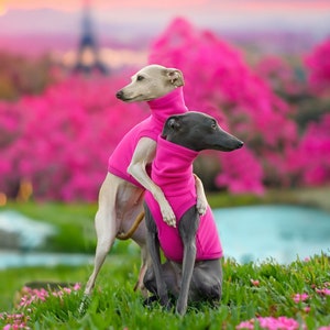 Italian Greyhound Fleece Vest
