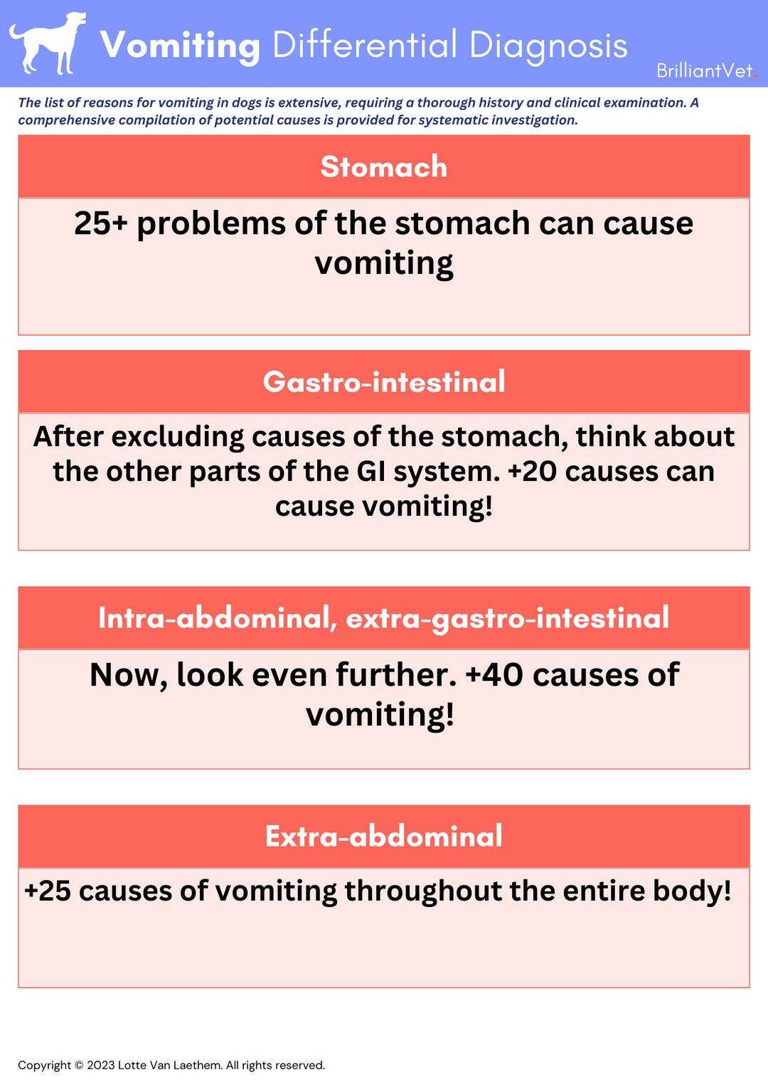 Differential Diagnosis List Vomiting Dog Etsy