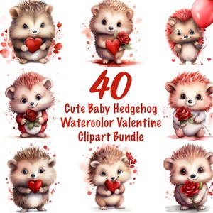 Lovely Baby Hedgehog Aquarelle Clipart Bundle, Mignons hérissons imprimables Valentines, Images numériques PNG pour l’artisanat, invitations, cartes