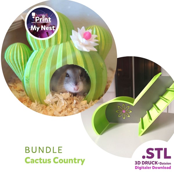 BUNDLE, STL files for 3D printing: Hamster house & watchbox, cactus flower design, cage decoration for dwarf hamsters and dwarf mice