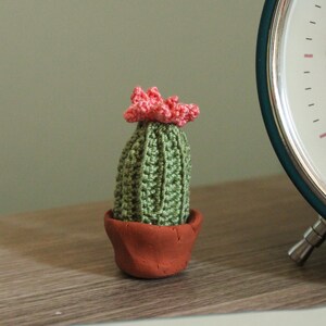 Handmade Crochet Cactus, Tiny Terracotta Pot, Desk Decor