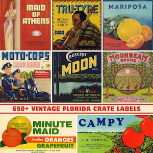 650+ Vintage Florida Crate Labels Collection: High-Quality | 300 DPI Printable | Florida Citrus Crate Labels | 1930-1950 Fruit Crate Art