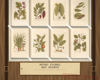 May include: A collection of eight rectangular botanical art prints featuring detailed illustrations of various plants, leaves, and fruits. Each print is secured with white tape. The text RETRO FLORAL ART PRINTS 516 antique botanical engravings is visible.