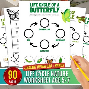 Hoja de trabajo del ciclo de vida, hoja de trabajo del ciclo de vida de la mariposa, ciclo de vida de la actividad imprimible, gráfico del ciclo de vida, ciencias del aprendizaje de la naturaleza de las abejas de 5 a 7 años