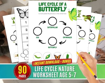 Life Cycle Worksheet, Butterfly life cycle worksheet, Activity Life Cycle Printable, Life Cycle chart, Bee Nature Learning Science Age 5-7